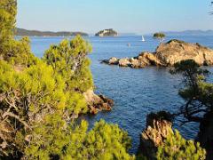 183 D25 BORMES LES MIMOSAS 3_000037